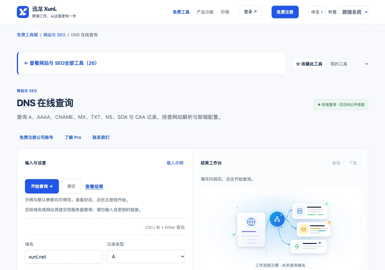 DNS 在线查询的输入与操作界面